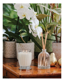 Gardenia Large Fragrance Diffuser 350ml
