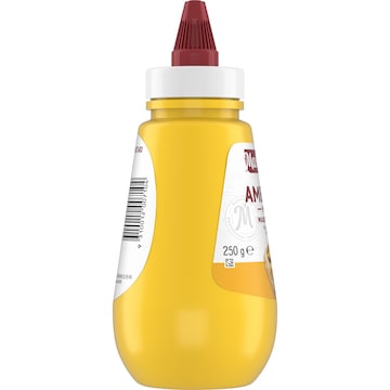 MasterFoods Mild American Mustard 250g