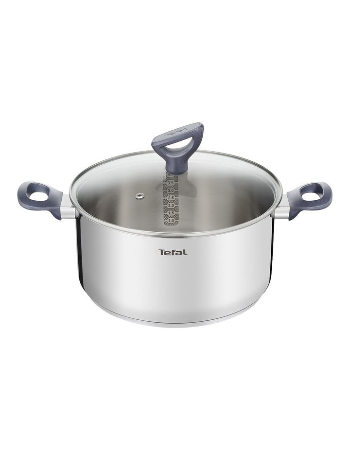 Daily Cook Induction Stainless Steel Stewpot 24cm/5L + Lid