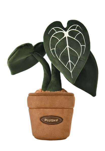 PlushWoods Klein Anthurium Plant Plush With Pot 25cm