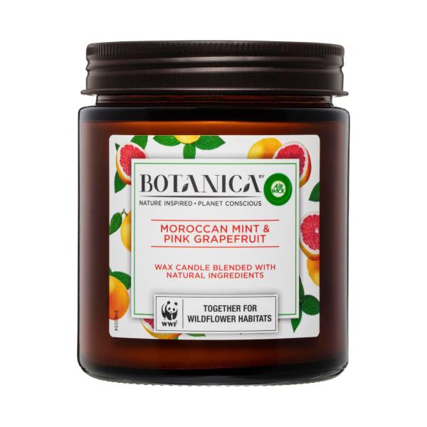 Moroccan Mint & Pink Grapefruit Candle