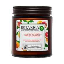 Moroccan Mint & Pink Grapefruit Candle