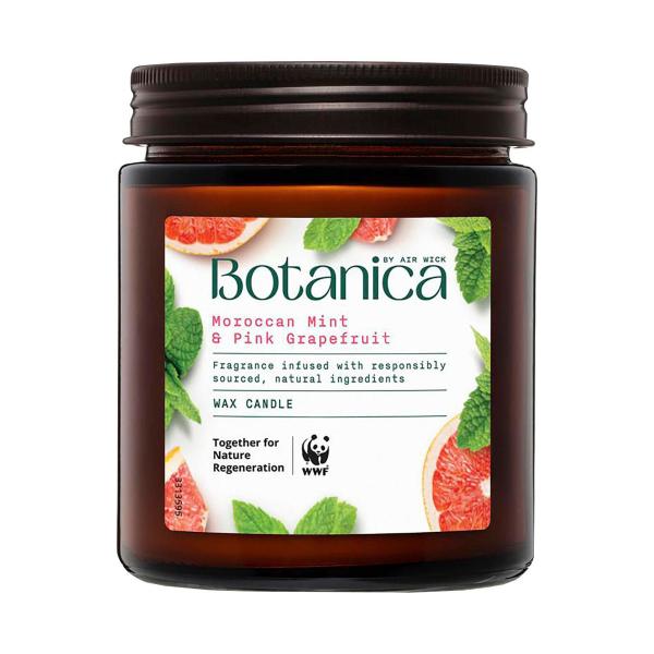 BOTANICA BY AIR WICK CANDLE 1 EACH