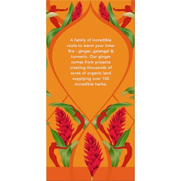 Pukka Tea Bags Three Ginger 20 pack