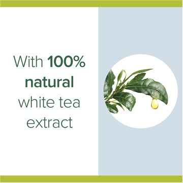 Palmolive Liquid Hand Wash Antibacterial White Tea Refill 1L