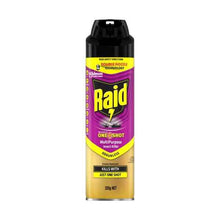 RAID ONE SHOT PEST MULTIPURPOSE INSECT KILLER ODOURLESS 320G