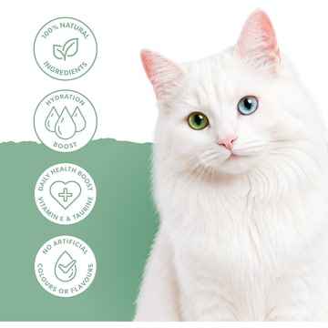 Pretty Wild Chicken Puree Lickable Cat Treat 15g x 4 pack