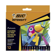 Intensity Colouring Felt Pens