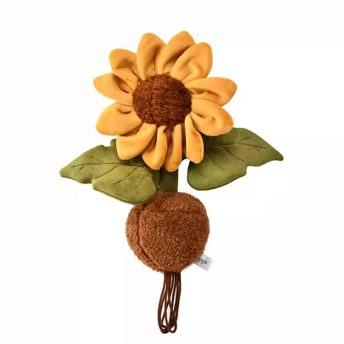 Plushwood  Helianthus annuus Plant Plush