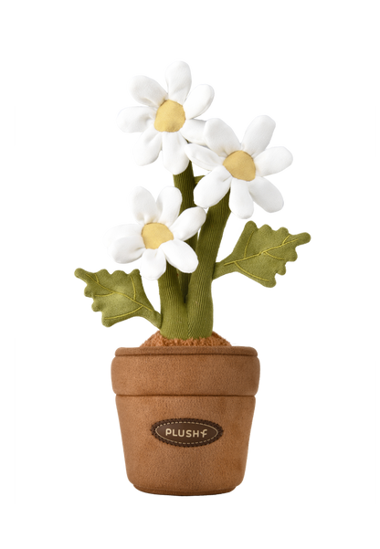 PlushWoods Daisy Plant Plush With Pot 25cm