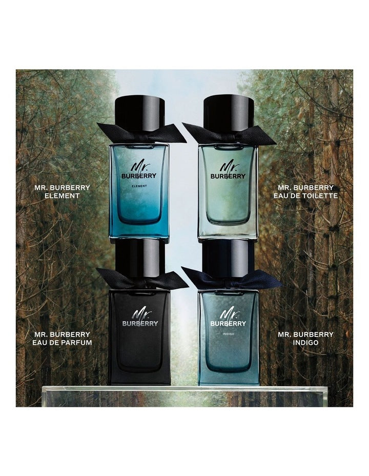 Mr. Burberry Eau de Toilette