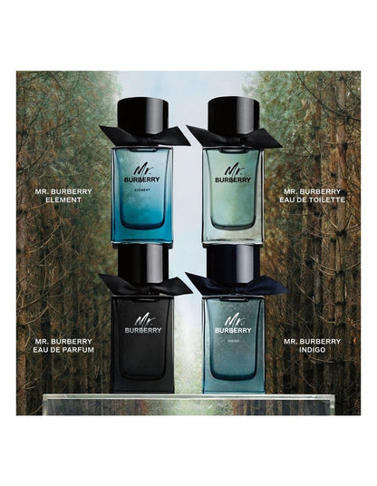 Mr. Burberry Eau de Toilette