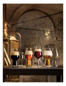 Birrateque Pale Ale Glass Set of 2 540ml in Clear