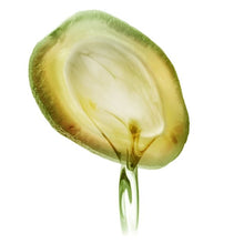 Garnier Fructis Sleek & Shine Anti-Frizz Serum