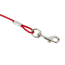Dog Stake and Cable - Anko