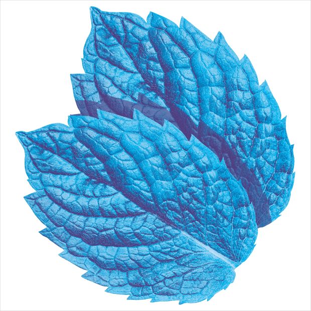 Wrigley's Extra Peppermint Chewing Gum - 3 Pack
