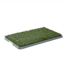 Pet Potty Mat - Anko