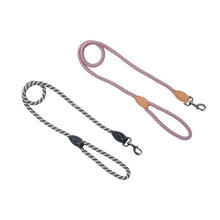 Rope Dog Lead, Assorted - Anko