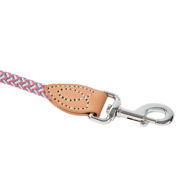 Rope Dog Lead, Assorted - Anko
