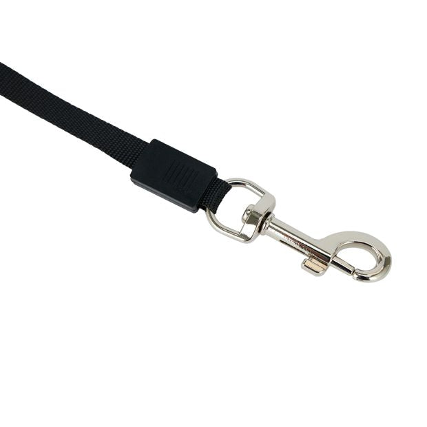 Dog Lead Retractable, Small - Anko