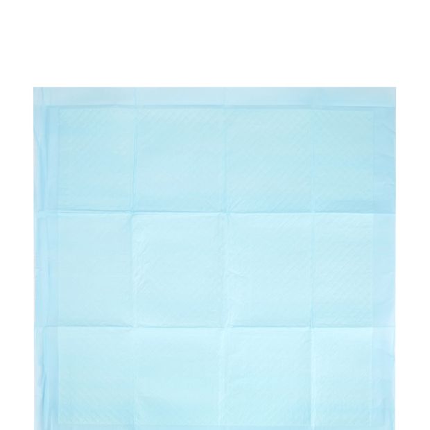 Puppy Training Pad 100 Pack - Anko
