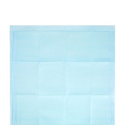 Puppy Training Pad 100 Pack - Anko