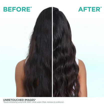 Garnier Fructis Hydrating Aloe Vera Hair Food
