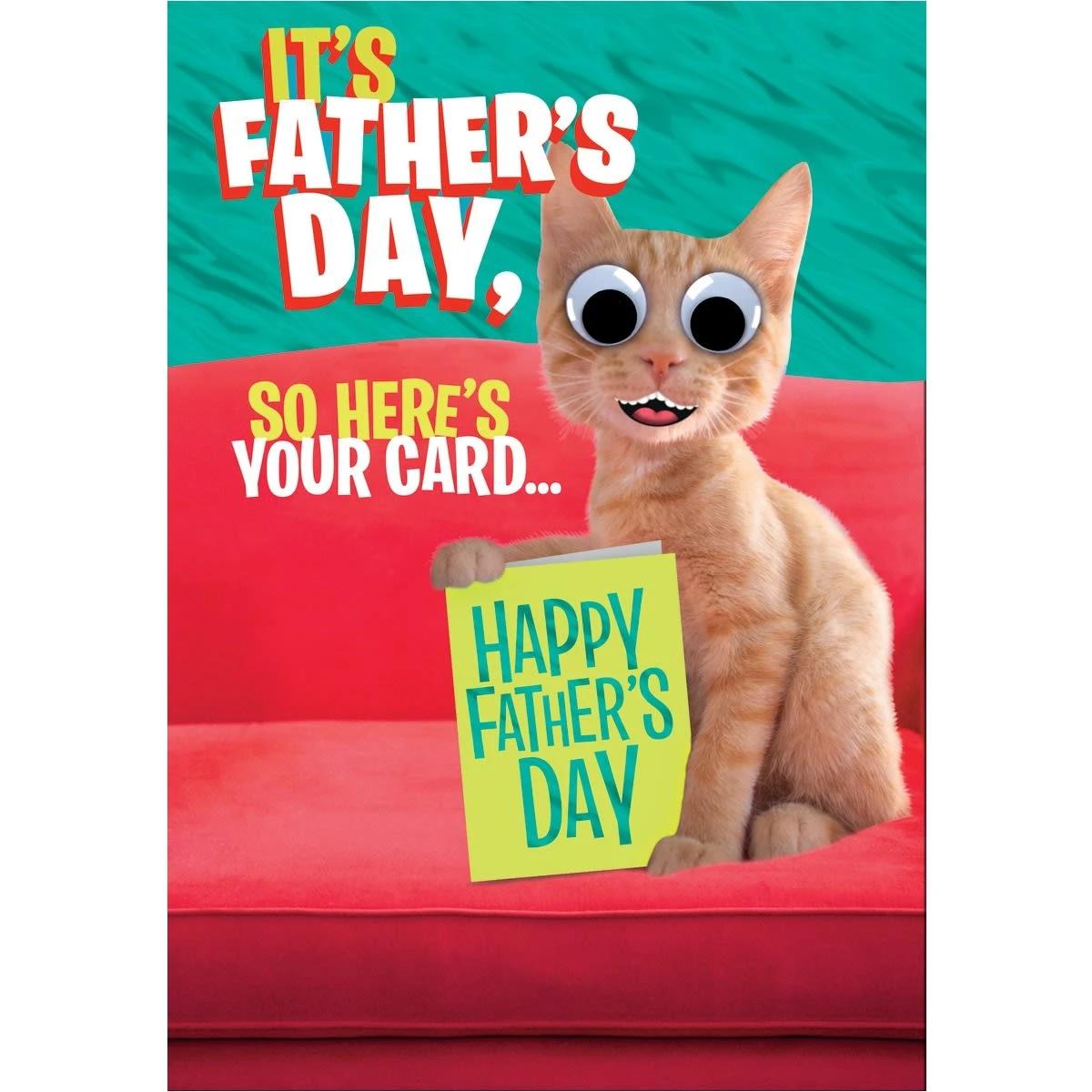 Hallmark Father's Day Card - Life Lessons