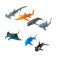 Ocean Animals Adventure Bucket - Anko