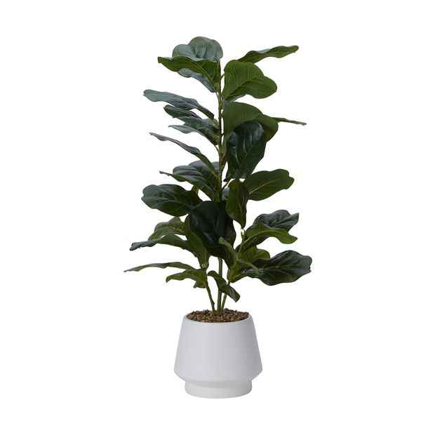 Artificial Fiddle Leaf - Anko