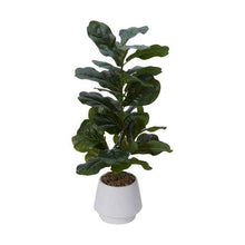 Artificial Fiddle Leaf - Anko