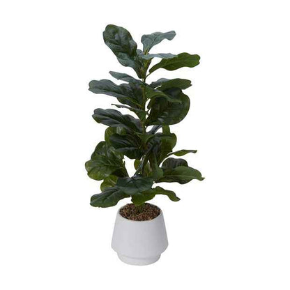 Artificial Fiddle Leaf - Anko
