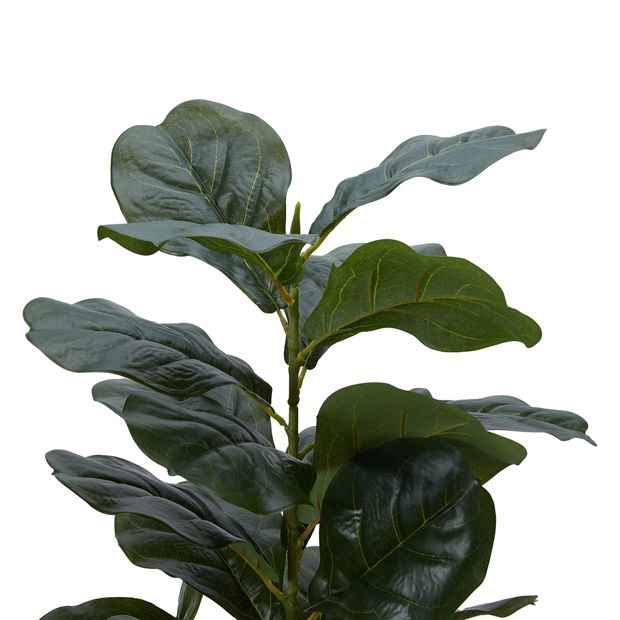 Artificial Fiddle Leaf - Anko