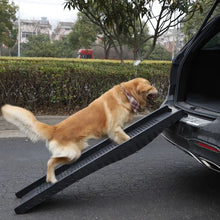 Pet Ramp - Anko