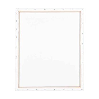 20in. x 24in. Stretch Canvas - Anko