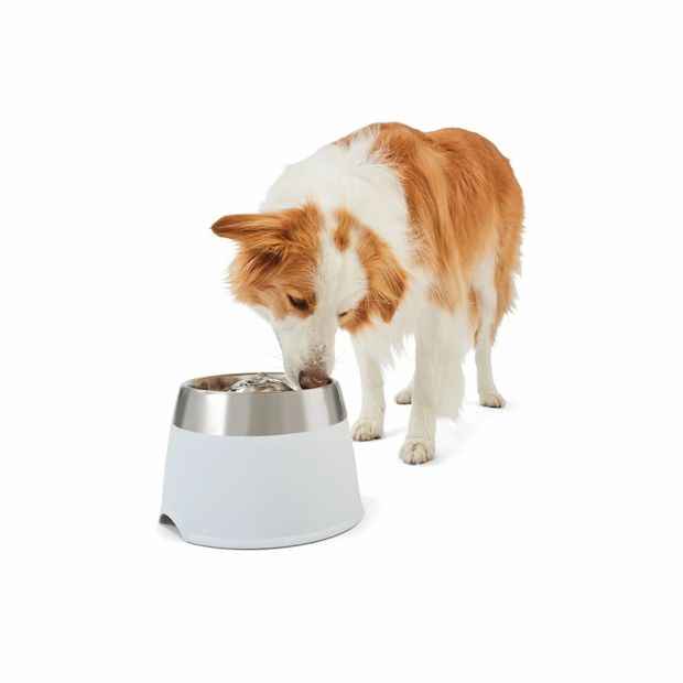 Pet Water Fountain - Anko