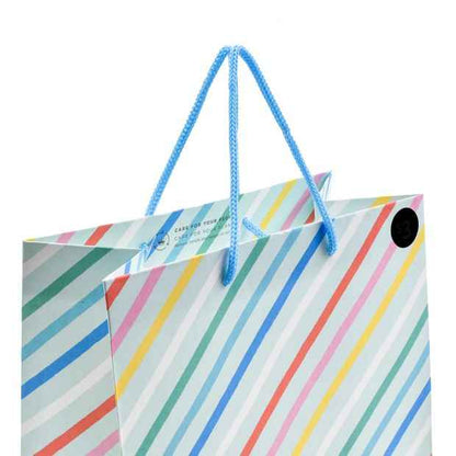 Hallmark Medium Colourful Diagonal Stripe Gift Bag