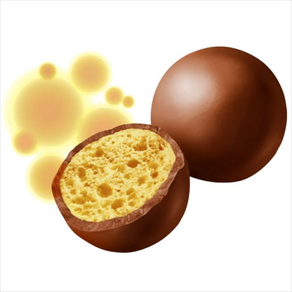 Maltesers 11 Piece Milk Chocolate Fun Size Share Pack 132g