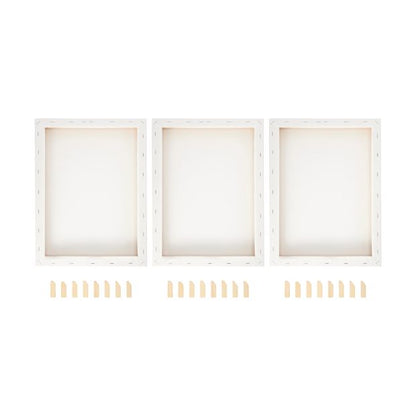12in. x 16in. Deep Edge Stretched Canvas, 3 pack - Anko