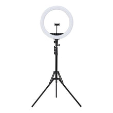 Selfie Ring Light Stand, 18" - Anko