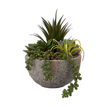 Artificial Succulents in Pot  - Anko