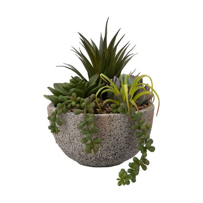 Artificial Succulents in Pot  - Anko