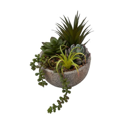 Artificial Succulents in Pot  - Anko