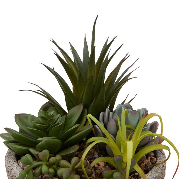 Artificial Succulents in Pot  - Anko
