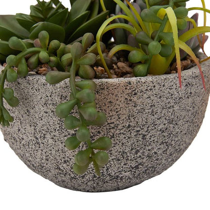 Artificial Succulents in Pot  - Anko