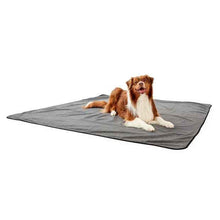 Pet Accident Protector, XL - Anko