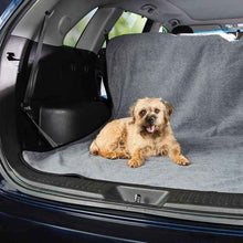 Pet Accident Protector, XL - Anko