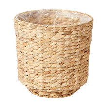 Hyacinth Planter - Anko