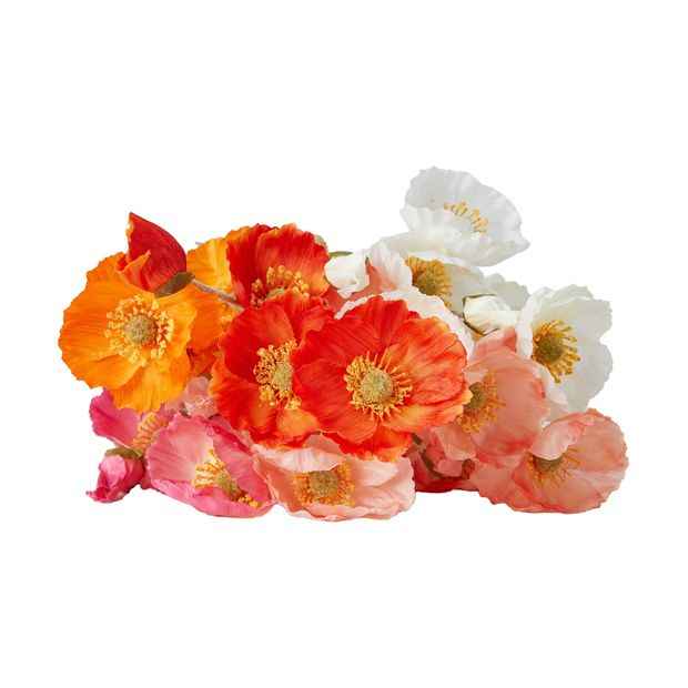 Artificial Poppies Bunch  - Anko