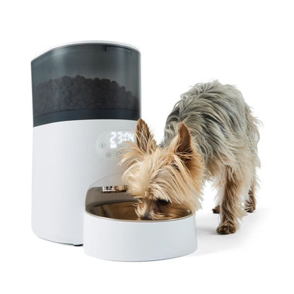 Automated 5L Pet Feeder, White and Grey - Anko